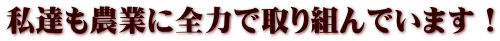 B_ƂɑS͂Ŏgł܂I