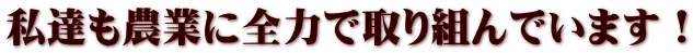 B_ƂɑS͂Ŏgł܂I