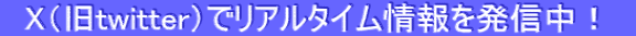 @XitwitterjŃA^C𔭐MI@