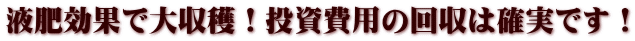 �t����ʂő���n�I������p�̉���͊m���ł��I